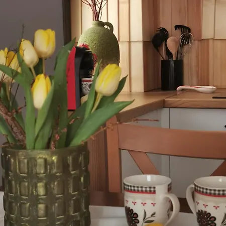 Apartment Kaprys - Centrum Krynica-Zdrój